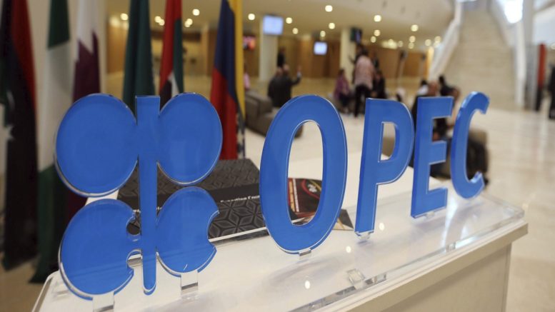 Pedro Luis Martín Olivares - El acuerdo predecible de la OPEP no puede ocultar sus grandes problemas