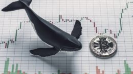 Pedro Luis Martín Olivares - Bitcoin Whale transfiere 2,407 BTC de Coinbase a la presunta billetera HODL
